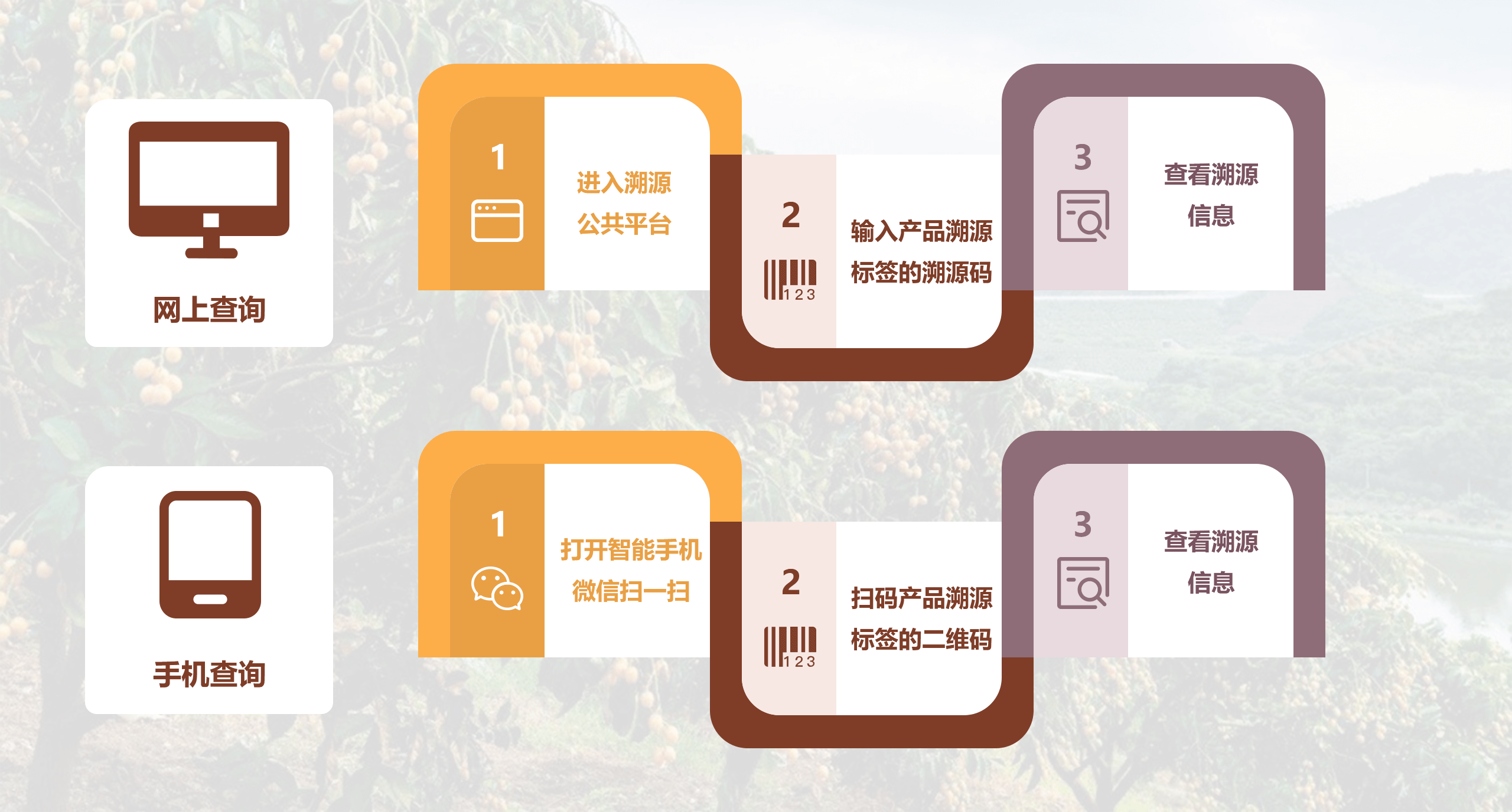 郁南黄皮产业公共服务平台